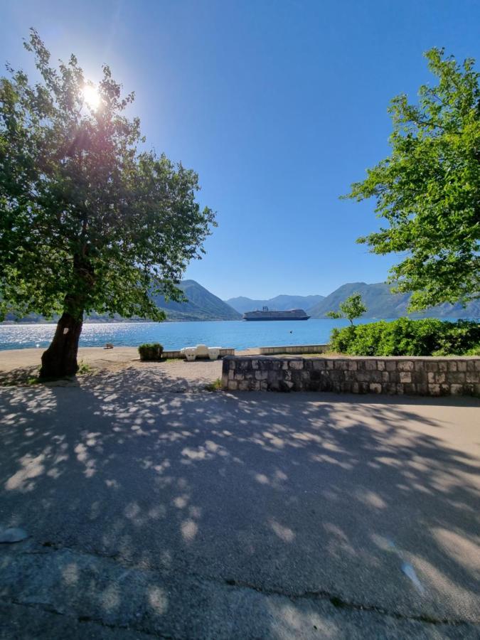 Apartment On The Shore Of The Bay Of Kotor With Free Wi-Fi Ngoại thất bức ảnh