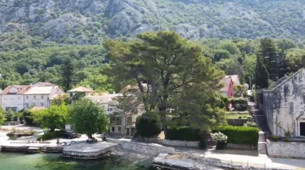 Apartment On The Shore Of The Bay Of Kotor With Free Wi-Fi Ngoại thất bức ảnh